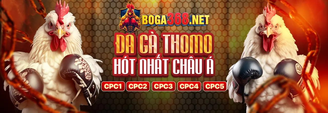 Đá gà trực tuyến VN88 2026