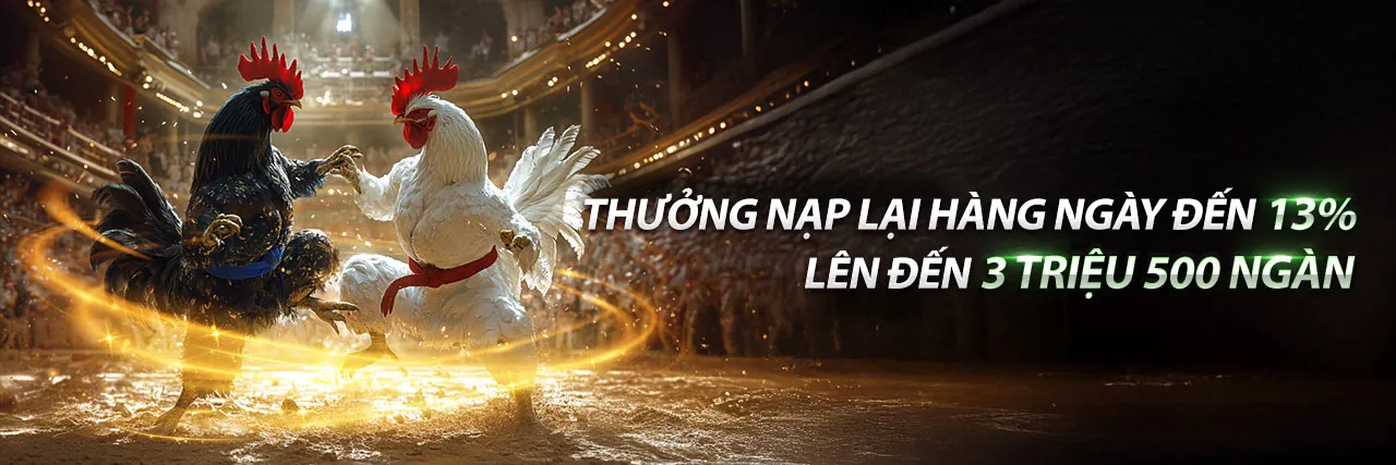 Khuyến mãi VN88 độc quyền 2026