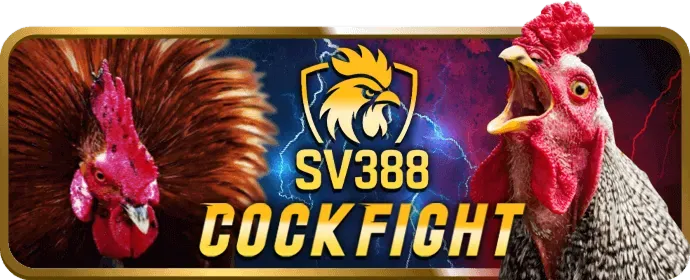 Khuyến mãi nạp tiền thể thao VN88