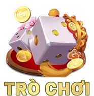 Câu hỏi thường gặp về VN88